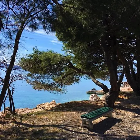 House Belavista 펜션 노비비노돌스키