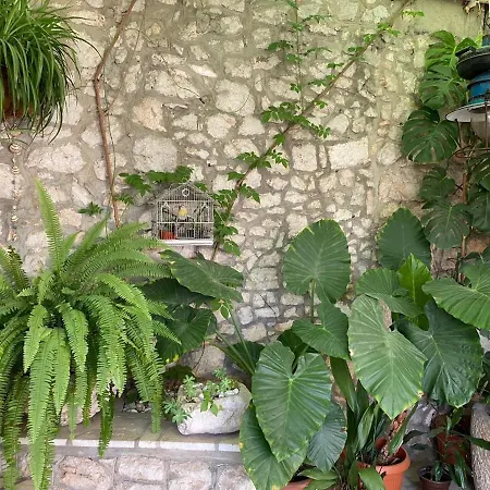 House Belavista * 노비비노돌스키